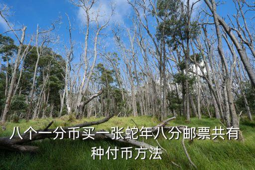 八個(gè)一分幣買(mǎi)一張蛇年八分郵票共有 種付幣方法