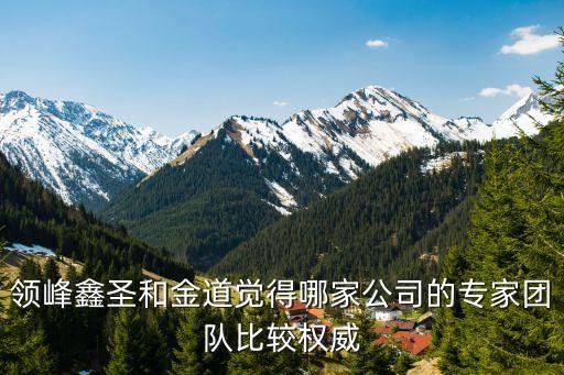 領(lǐng)峰環(huán)球，領(lǐng)峰鑫圣和金道覺得哪家公司的專家團(tuán)隊(duì)比較權(quán)威