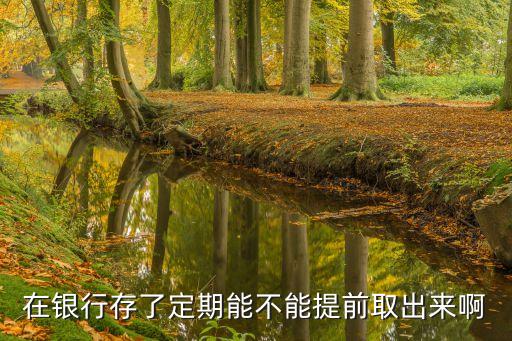 在銀行存了定期能不能提前取出來啊