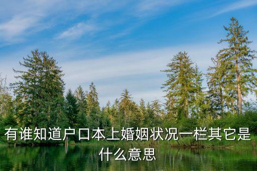 有誰知道戶口本上婚姻狀況一欄其它是什么意思