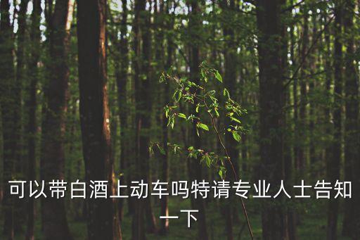 可以帶白酒上動(dòng)車(chē)嗎特請(qǐng)專(zhuān)業(yè)人士告知一下