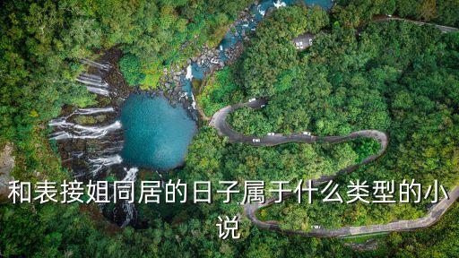 和表接姐同居的日子屬于什么類(lèi)型的小說(shuō)