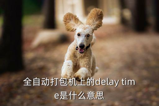 全自動打包機上的delay time是什么意思