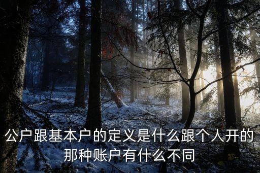 公戶跟基本戶的定義是什么跟個(gè)人開的那種賬戶有什么不同