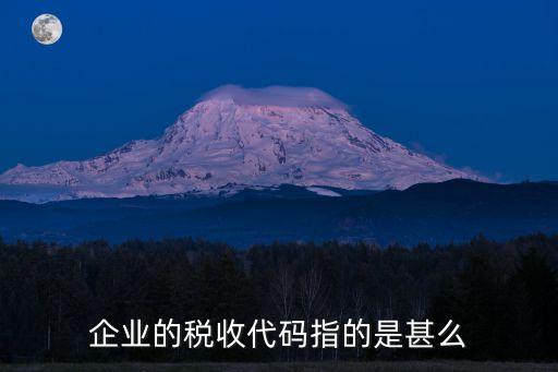 企業(yè)的稅收代碼指的是甚么