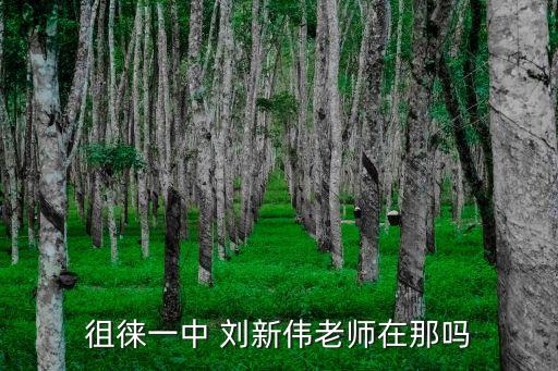 劉新偉，徂徠一中 劉新偉老師在那嗎