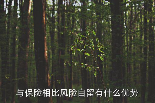 與保險相比風(fēng)險自留有什么優(yōu)勢