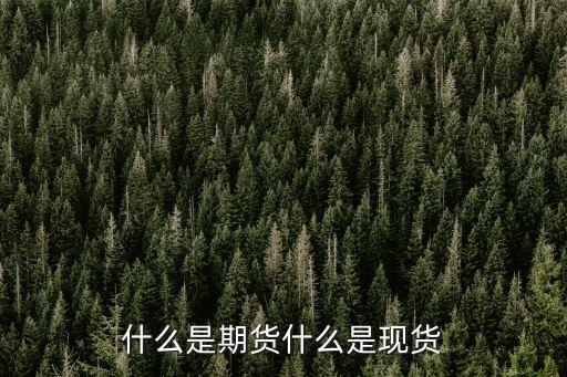 期貨現(xiàn)貨，什么是期貨什么是現(xiàn)貨請舉例說明