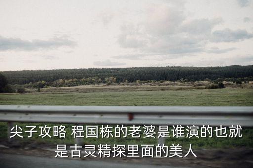 尖子攻略 程國(guó)棟的老婆是誰(shuí)演的也就是古靈精探里面的美人