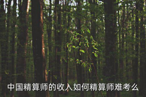 總精算師，出任中國(guó)人壽總精算師的第一個(gè)外國(guó)人是誰(shuí)