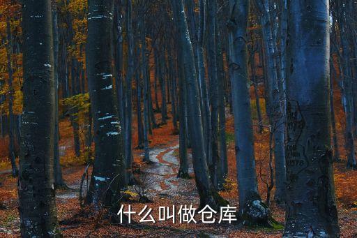 倉儲倉庫，什么叫做倉庫