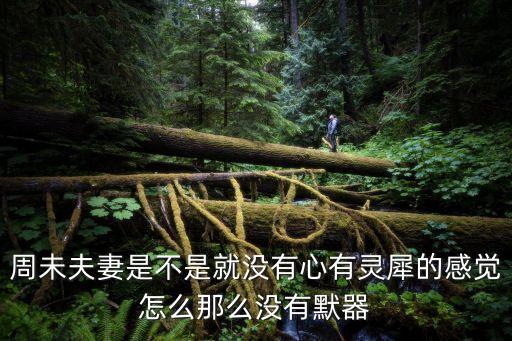 周未夫妻，周未夫妻是不是就沒有心有靈犀的感覺怎么那么沒有默器