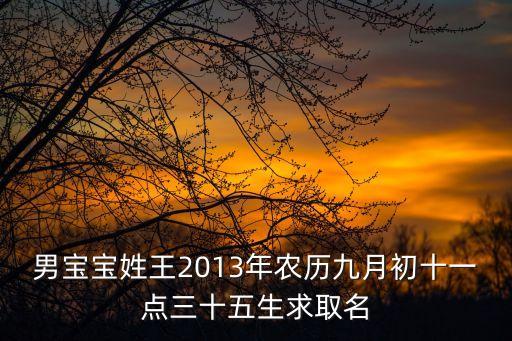 王瑞明，姓王屬馬男孩20141114晚十點出生取什么名字