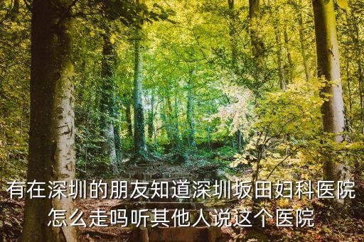 xx91，2000年是什么世紀(jì)什么年代
