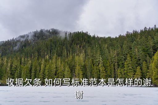 收據(jù)欠條 如何寫標準范本是怎樣的謝謝