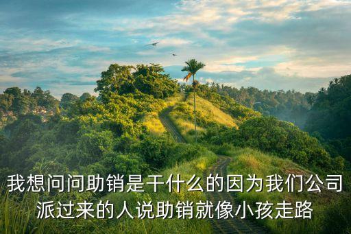 我想問問助銷是干什么的因?yàn)槲覀児九蛇^來的人說助銷就像小孩走路