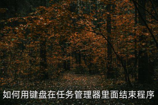 如何用鍵盤在任務管理器里面結束程序