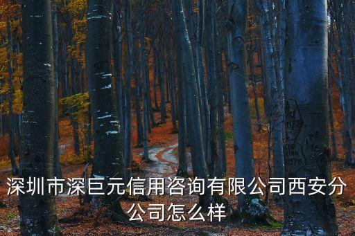 深圳市深巨元信用咨詢(xún)有限公司西安分公司怎么樣