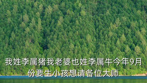 我姓李屬豬我老婆也姓李屬牛今年9月份要生小孩想請(qǐng)各位大師