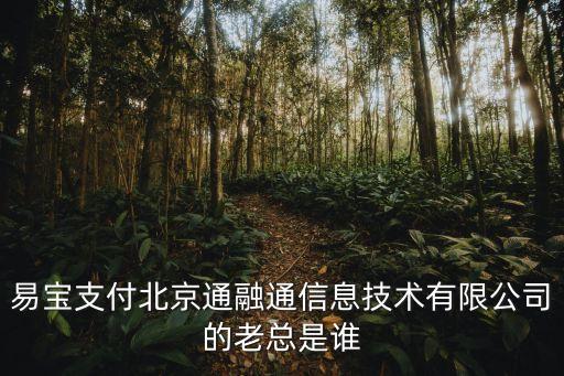支付寶老板，易寶支付北京通融通信息技術(shù)有限公司的老總是誰(shuí)