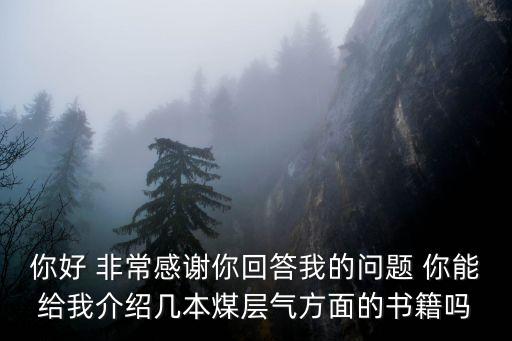 王紅巖，大慶電業(yè)局送電工區(qū)主任是誰