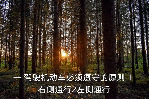一 駕駛機(jī)動(dòng)車必須遵守的原則 1 右側(cè)通行2左側(cè)通行