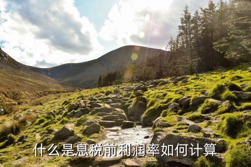 什么是息稅前利潤率如何計算