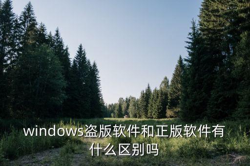 盜版軟件，windows盜版軟件和正版軟件有什么區(qū)別嗎