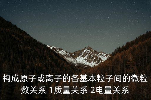 構(gòu)成原子或離子的各基本粒子間的微粒數(shù)關(guān)系 1質(zhì)量關(guān)系 2電量關(guān)系