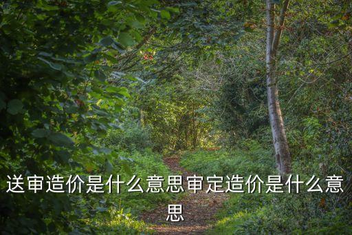 審定是什么意思，送審造價(jià)是什么意思審定造價(jià)是什么意思