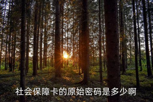 社會保障卡的原始密碼是多少啊