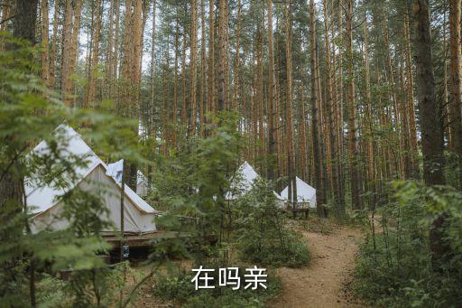 在嗎親