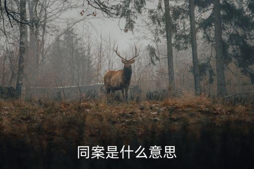 同案是什么意思