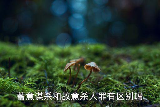 蓄意謀殺和故意殺人罪有區(qū)別嗎