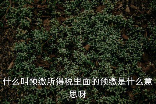 預(yù)繳，預(yù)繳是什么意思
