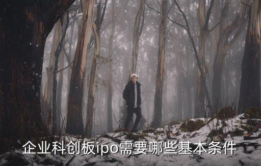 企業(yè)科創(chuàng)板ipo需要哪些基本條件