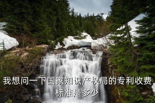 我想問一下國(guó)家知識(shí)產(chǎn)權(quán)局的專利收費(fèi)標(biāo)準(zhǔn)是多少