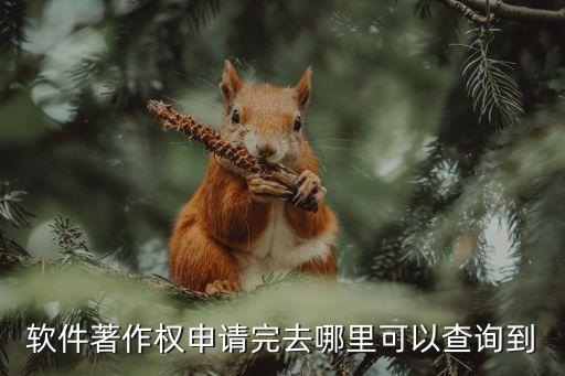 中國(guó)版權(quán)在線，軟件著作權(quán)申請(qǐng)完去哪里可以查詢到