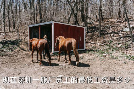 現(xiàn)在深圳一般廠員工的最低工資是多少