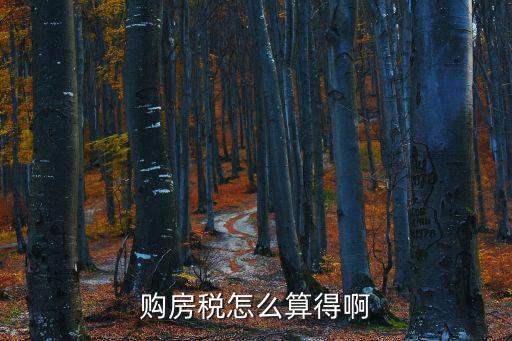 購房稅怎么算得啊