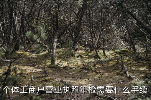 個體戶營業(yè)執(zhí)照年檢，有懂個體營業(yè)執(zhí)照怎么年檢的嘛流程