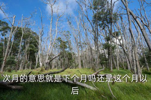 次月的意思就是下個月嗎還是這個月以后