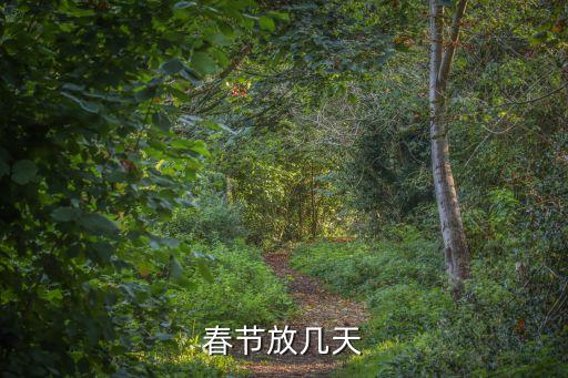 過年放幾天，春節(jié)放幾天