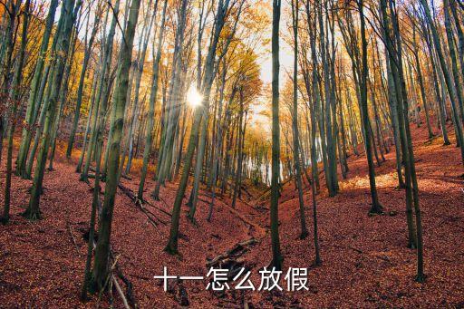 十一怎么放假