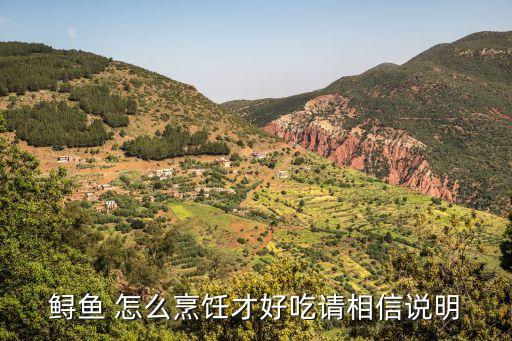 鱘魚 怎么烹飪才好吃請相信說明
