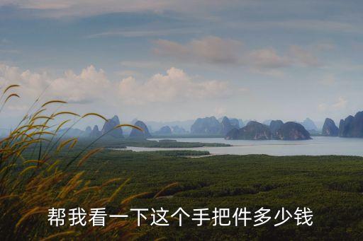 幫我看一下這個手把件多少錢