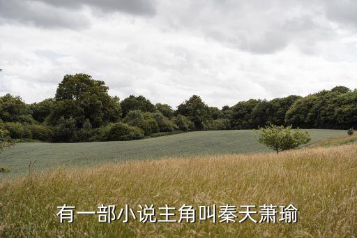 有一部小說主角叫秦天蕭瑜