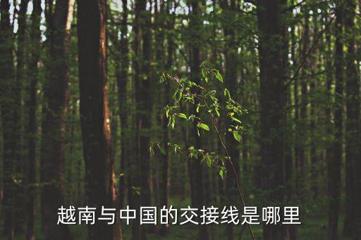 越南祖國(guó)陣線，越南愛(ài)國(guó)統(tǒng)一戰(zhàn)線組織是什么機(jī)構(gòu)