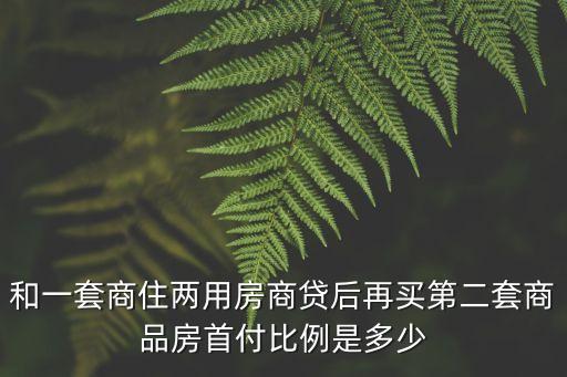 和一套商住兩用房商貸后再買第二套商品房首付比例是多少