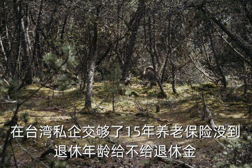 在臺(tái)灣私企交夠了15年養(yǎng)老保險(xiǎn)沒到退休年齡給不給退休金